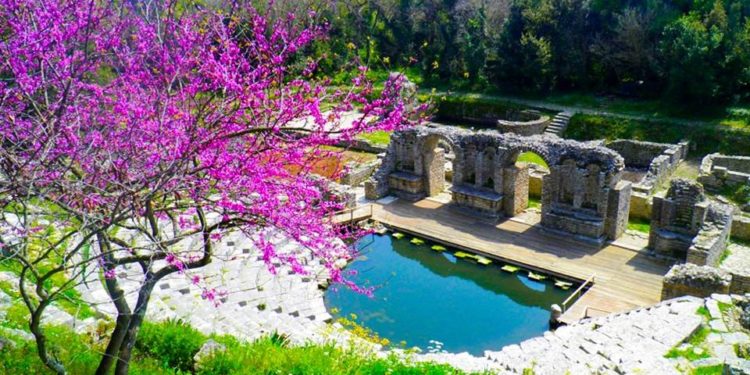 Për herë të parë menaxhimin e Butrintit e merr një kompani private