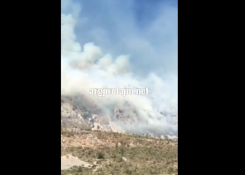 Tepelenë, zjarr në kullotat e fshatit Beçisht (VIDEO)