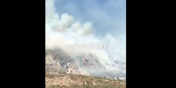 Tepelenë, zjarr në kullotat e fshatit Beçisht (VIDEO)