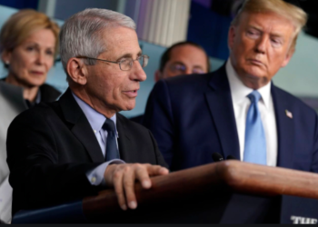 Njeriu i Trump për Covid: Situata nga pandemia mund të normalizohet në fund të vitit 2021