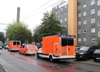 Tronditëse në Gjermani, nëna vret 5 fëmijët e saj