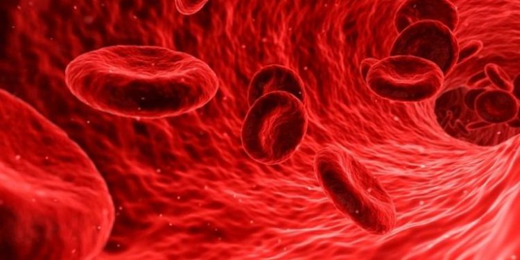 Shkencëtarët përcaktojnë se cili grup gjaku mbron nga COVID-19