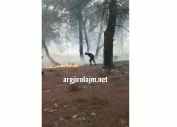 Zjarr i madh në Gjirokastër, flakët përhapen në masivin pyjor mbi Virua (VIDEO)