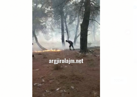 Zjarr i madh në Gjirokastër, flakët përhapen në masivin pyjor mbi Virua (VIDEO)