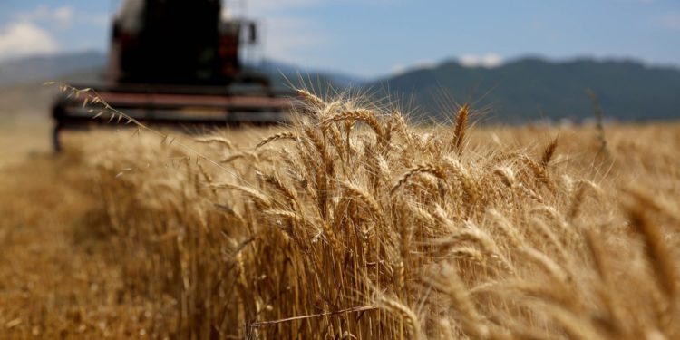 Çfarë do të thotë naftë pa taksa për fermerët