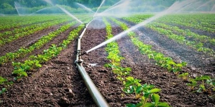 Miratohet Urdhri për hapjen e thirrjes së tretë të programit IPARD, ja kur fillojmë aplikimet