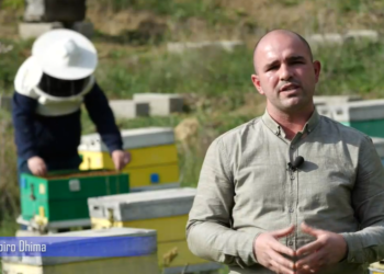 Rama tregon historinë e vëllezërve Dhima nga Gjirokastra: Menaxhojnë një fermë me 150 koshere bletësh në Lunxhëri (VIDEO)