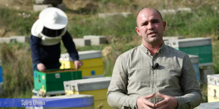 Rama tregon historinë e vëllezërve Dhima nga Gjirokastra: Menaxhojnë një fermë me 150 koshere bletësh në Lunxhëri (VIDEO)