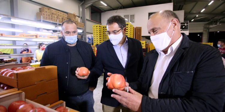 Pandemia nuk ndal eksportet e fruta-perimeve nga Shqipëria, Çuçi viziton pikat e grumbullimit në Lushnje: Vetëm për nëntë mujorin e këtij viti kemi rritje me 18% në sasi dhe 17% në vlerë (FOTO)