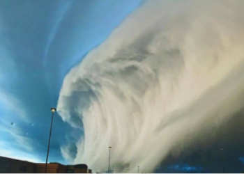 Historia që fshihet pas Arcus, fotoja që u vlerësua me çmim të parë