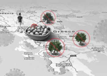 Pandemia mund të rezultojë e favorshme për punëtorët sezonalë shqiptarë në Greqi