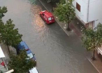 Reshjet e shiut, nisin problemet në disa qarqe të vendit