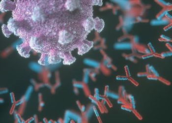 Studimi/A prodhojnë burrat më shumë antitrupa kundër Covid?