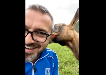 Keci i lëpin veshin, Saimir Tahiri feston ditëlindjen në fusha (VIDEO)