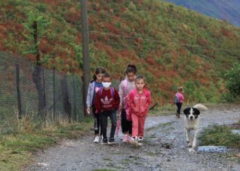 Shqipëria tjetër/ Nxënësit në një fshat bëjnë autostop për në shkollë