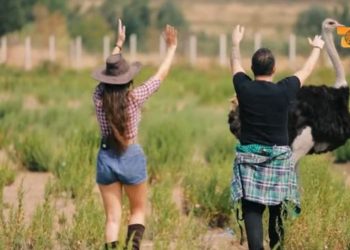 Emisioni në TCH, struci sulmon këngëtarin Devis Xherahu (VIDEO)