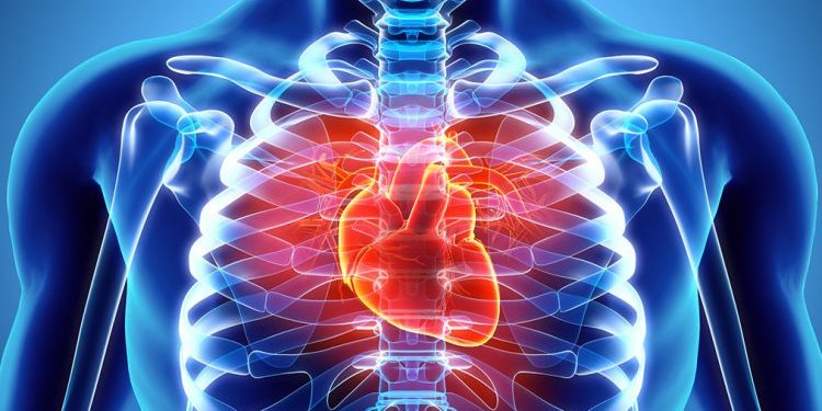 Ky është ushqimi që nuk duhet të hani për sëmundjet e zemrës