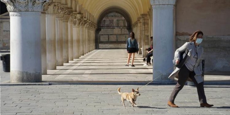 Rasti i parë në Itali/Qeni rezulton pozitiv me COVID-19
