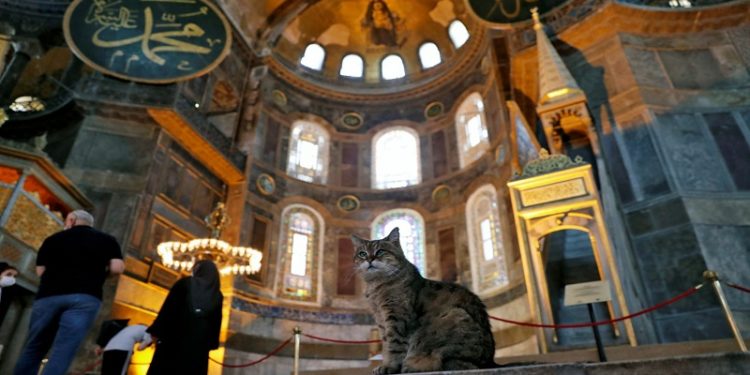 Lamtumirë Gli, macja e famshme e xhamisë ‘Shën Sofia’ në Stamboll nuk është më