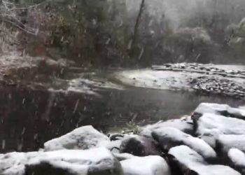 Bien reshjet e para të dëborës në Shqipëri