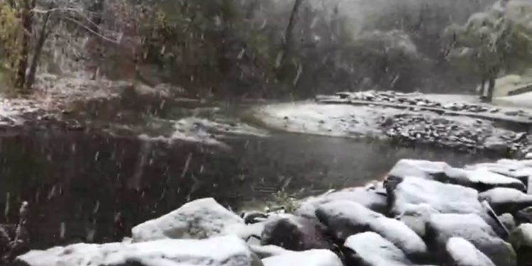 Bien reshjet e para të dëborës në Shqipëri