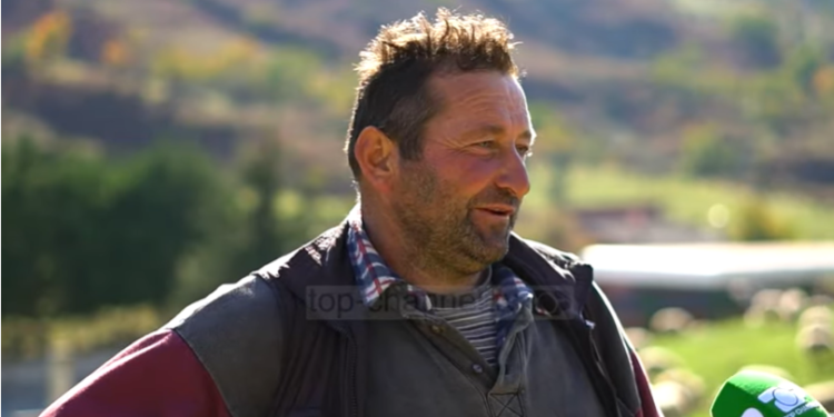 Verën në Skrapar, dimrin në Sarandë/ Çobani milioner: Djali më mbeti beqar, vajzat duan në qytet (VIDEO)