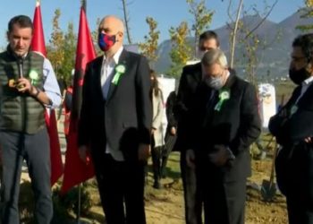 Shqipëria i bashkohet nismës për rekord Guiness/Mbillen 1000 fidanë pemë të dhuruara nga Turqia