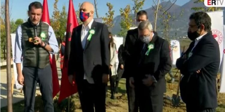 Shqipëria i bashkohet nismës për rekord Guiness/Mbillen 1000 fidanë pemë të dhuruara nga Turqia