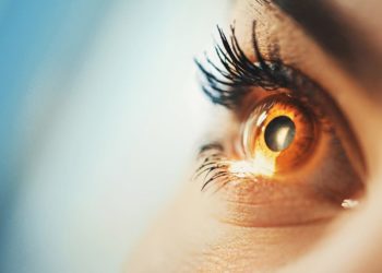 Studimi/Niveli i inteligjencës së një personi mund të kuptohet nga sytë