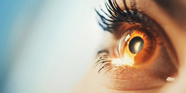 Studimi/Niveli i inteligjencës së një personi mund të kuptohet nga sytë