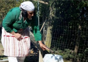 Në Shqipëri, ka një ilaç gati magjik