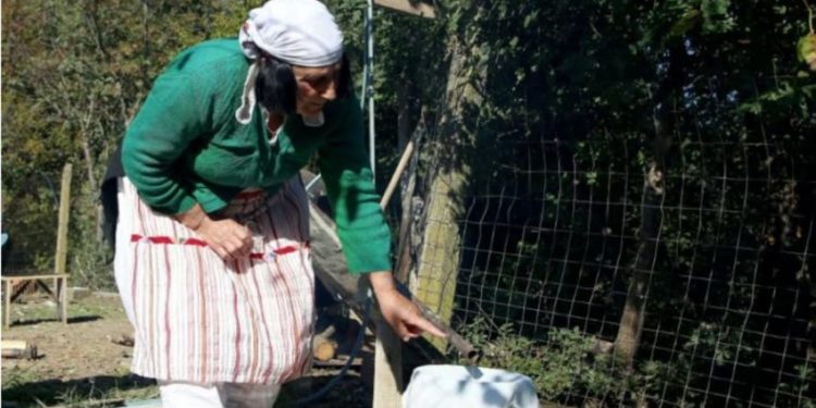 Në Shqipëri, ka një ilaç gati magjik