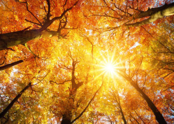 Tetori 2020, i treti më i nxehtë në histori