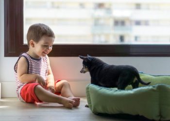 A e dini sa e rrezikshme është kur qeni lëpin fëmijën tuaj? Ja ç’mund t’i ndodhë