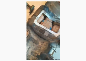 Policia greke zbulon kanabis në kufi me Shqipërinë, qeni e nuhati brenda sarbatorit të makinës (VIDEO)