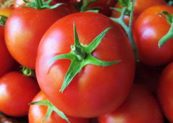 Domatet shqiptare me 2 Euro në Itali, ministri Çuçi tregon foton që i nisi miku i tij nga dyqani në Sardenja