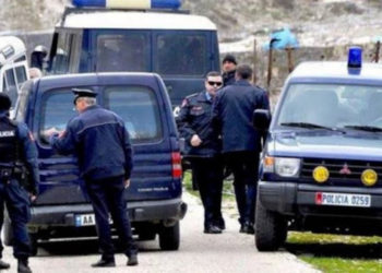 Gjirokastër/Arrestohen në flagrancë 2 shtetas, transportonin emigrantë të paligjshëm