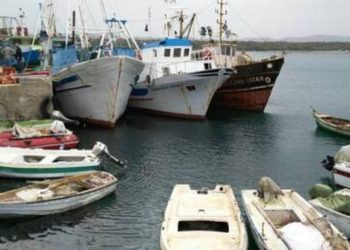Peshkaqeni i rrallë bie në rrjetën e peshkatarëve të Vlorës (FOTO)