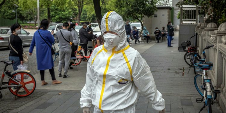 Lakuriqët e natës apo laborator? Misteret që pritet të zbulojë ekipi i OBSH-së në Wuhan