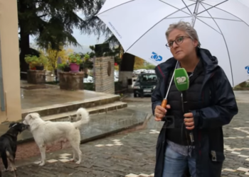 Në kohë pandemie, Gjirokastra ‘debaton’ për Borën dhe Xhinën. Pamjet nga kamerat e hotelit ‘trazojnë’ qytetin, por misteri mbetet (VIDEO)