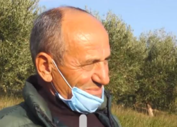 Histori njerëzore/ Fermeri shndërron kodrat e Libofshës në plantacione me ullishte dhe dru frutorë (VIDEO)