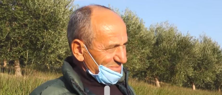 Histori njerëzore/ Fermeri shndërron kodrat e Libofshës në plantacione me ullishte dhe dru frutorë (VIDEO)
