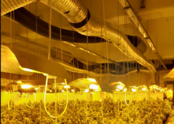 Operacion anti-drogë në Greqi, arrestohen 8 shqiptarë (VIDEO)