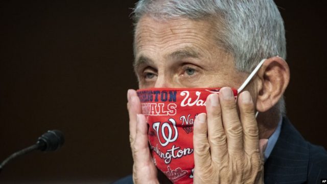 Ish krahu i djathtë i Trump: Pandemia nuk përfundon nëse nuk vaksinohet shumica e njerëzve