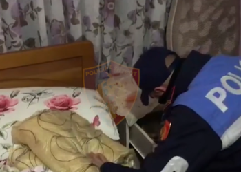 Operacioni “Hapësira”, 41 persona të përfshirë në trafik droge, 3 në Gjirokastër, mes tyre edhe një grua