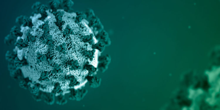 18 milionë të infektuar me COVID-19 në SHBA