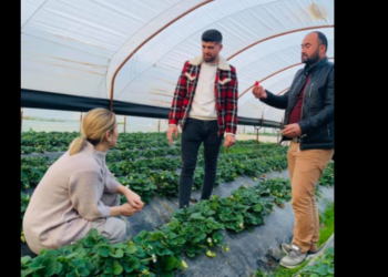 Monika Kryemadhi futet në serrë: Ndryshimi po vjen