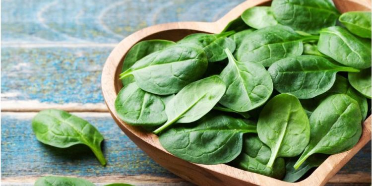 Përfitimet shëndetësore të spinaqit: Si ndikon tek zemra, sytë dhe truri