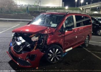 E pushuan nga puna në fabrika e ‘Benz’, i riu hakmerret duke shkatërruar me eskavator rreth 50 makina, dëm 5 milionë euro