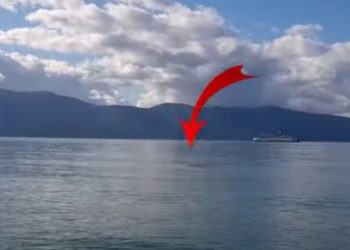 Vlonjati e nis ditën e parë të vitit duke u larë në det (VIDEO)